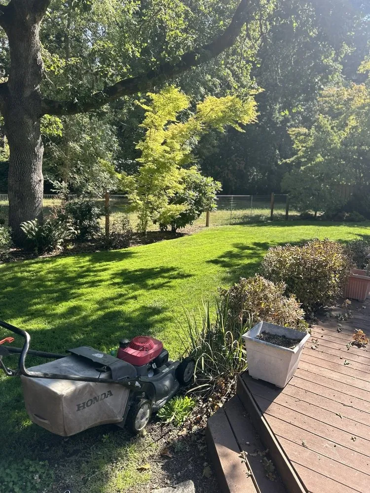 Reliable landscape design near you in Eugene, OR by SuperCity Maintenance