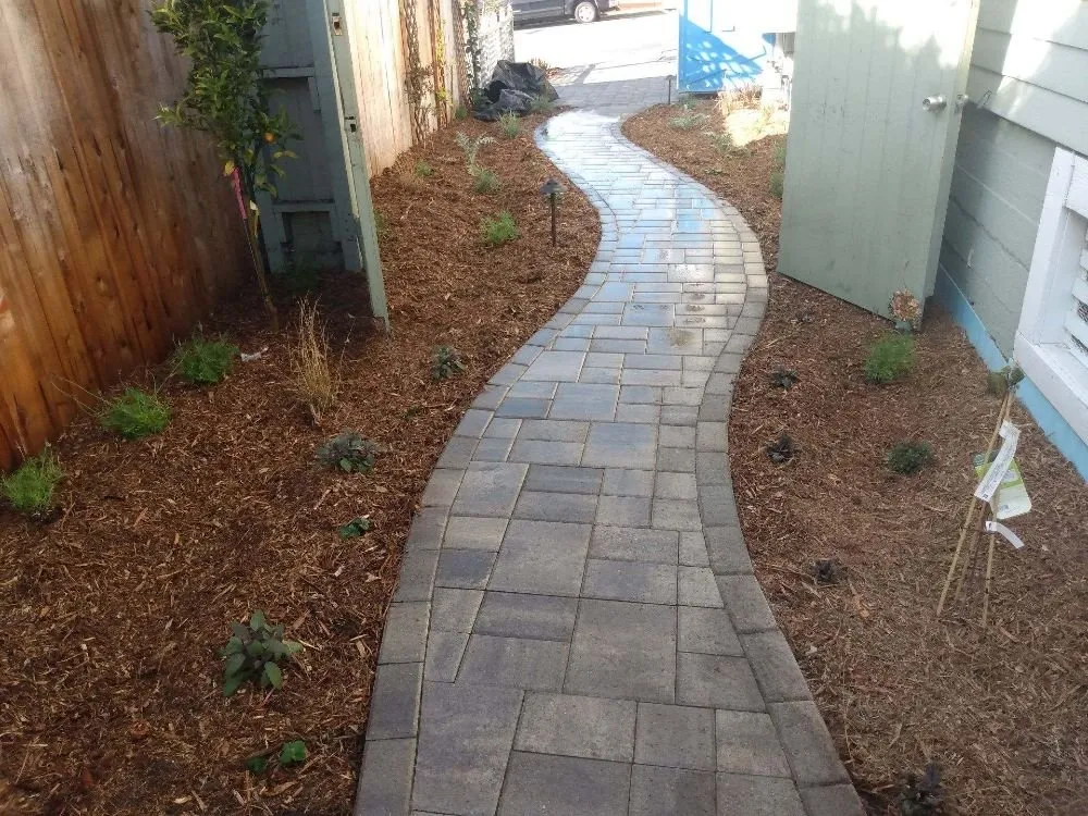 Professional outdoor landscaping for year-round maintenance across Los Angeles, CA - Supergreen Landscape