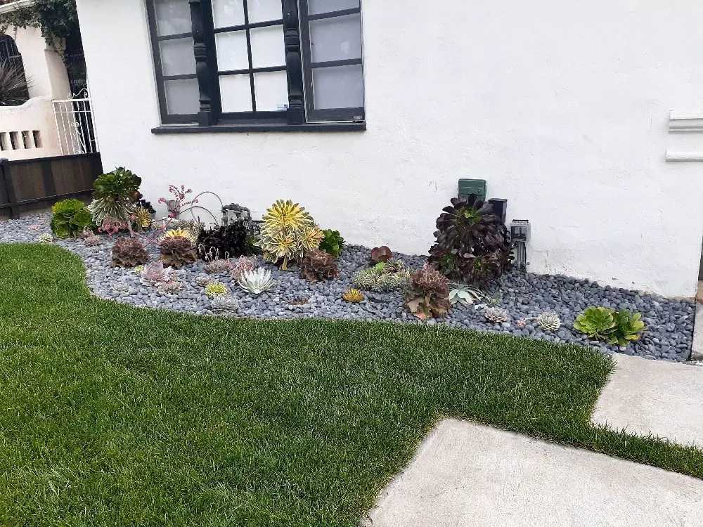 Custom lawn mowing service for year-round maintenance across Los Angeles, CA - Supergreen Landscape