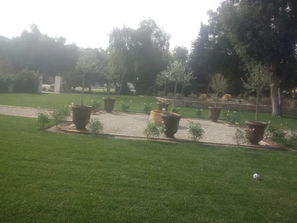 Reliable garden landscaping in Los Angeles, CA by Supergreen Landscape