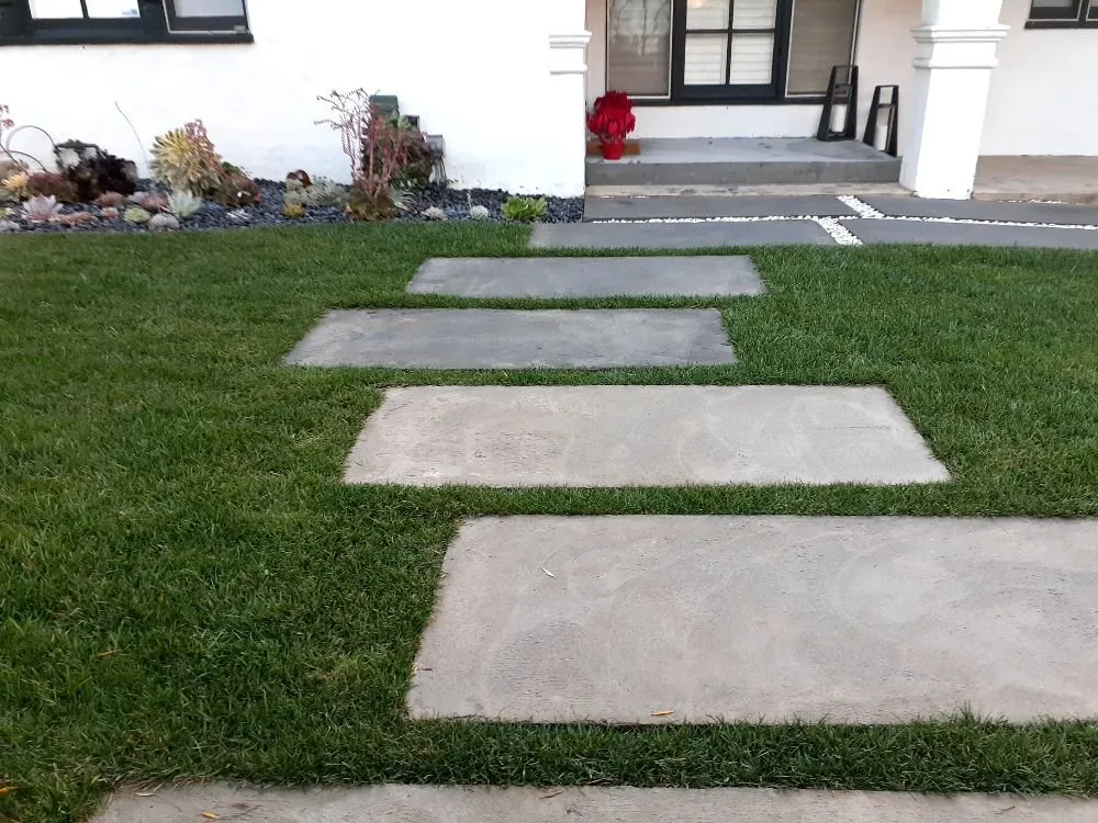 Custom yard maintenance in Los Angeles, CA by Supergreen Landscape