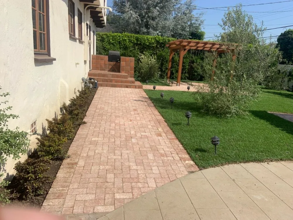 Affordable lawn mowing service in Los Angeles, CA by Supergreen Landscape