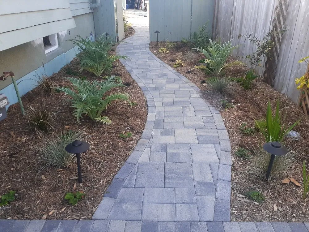 Affordable landscape design for beautiful yards across Los Angeles, CA - Supergreen Landscape