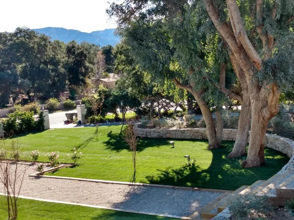 Trusted lawn mowing service in Los Angeles, CA - Supergreen Landscape