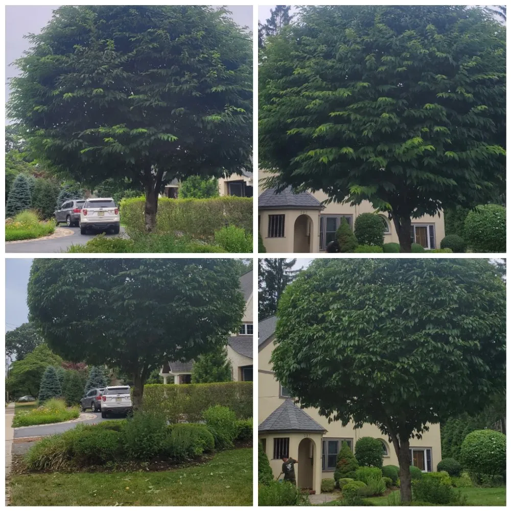 Top-rated yard maintenance for residential properties across Oakland, NJ - Supergreen Landscaping