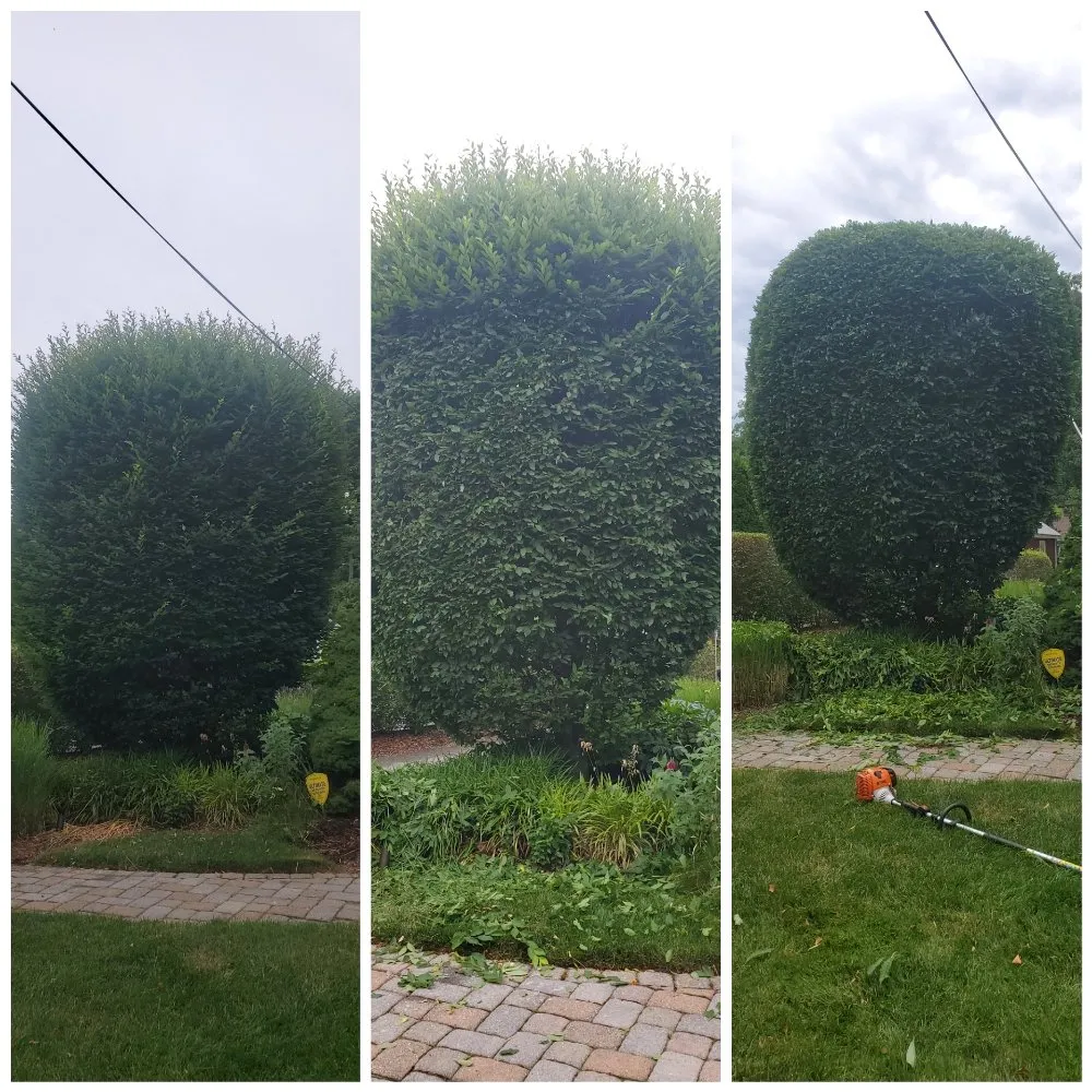 Local residential landscaping in Oakland, NJ - Supergreen Landscaping