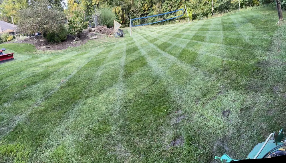 Reliable yard cleanup service in New Lenox, IL - Superground