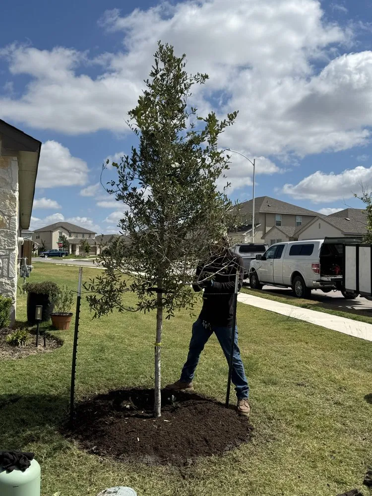 Top-rated yard cleanup service for homes in Austin, TX by Superior American Service