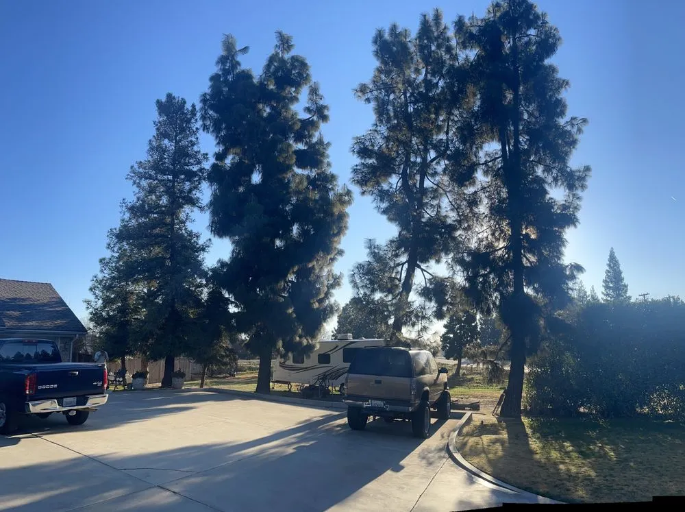 Affordable residential landscaping experts serving Fresno, CA - Superior ArborWorks