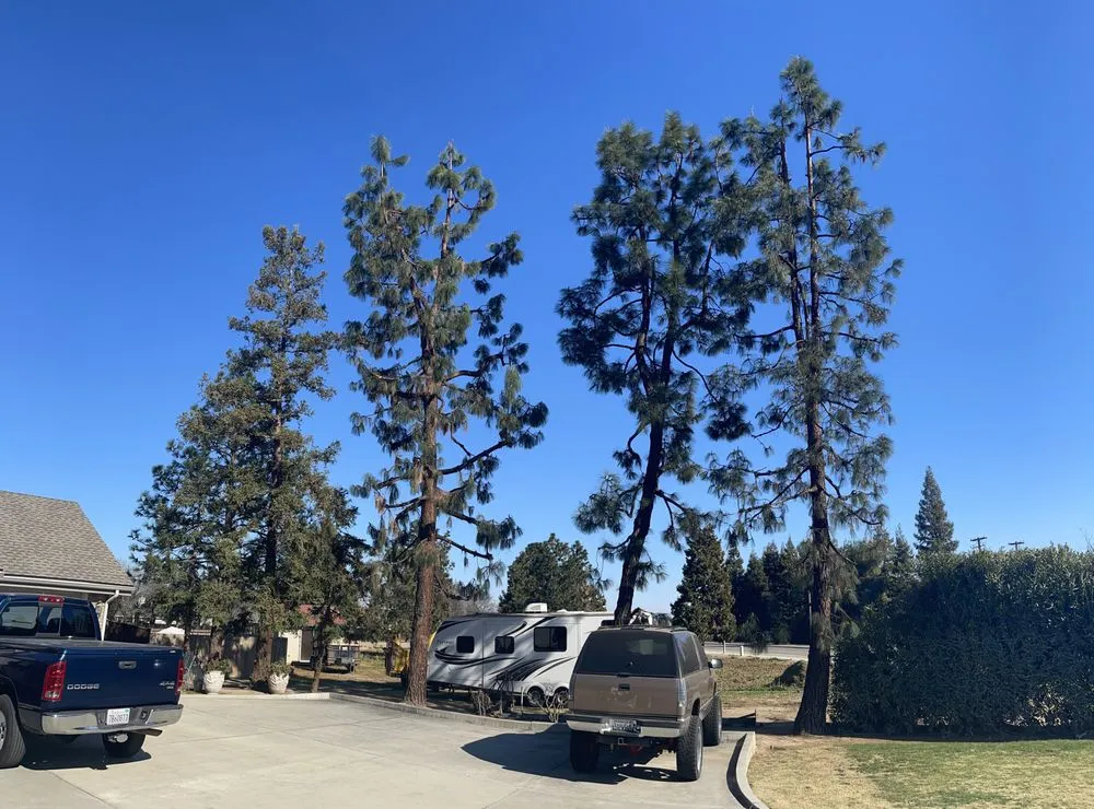 Affordable lawn mowing service experts serving Fresno, CA - Superior ArborWorks