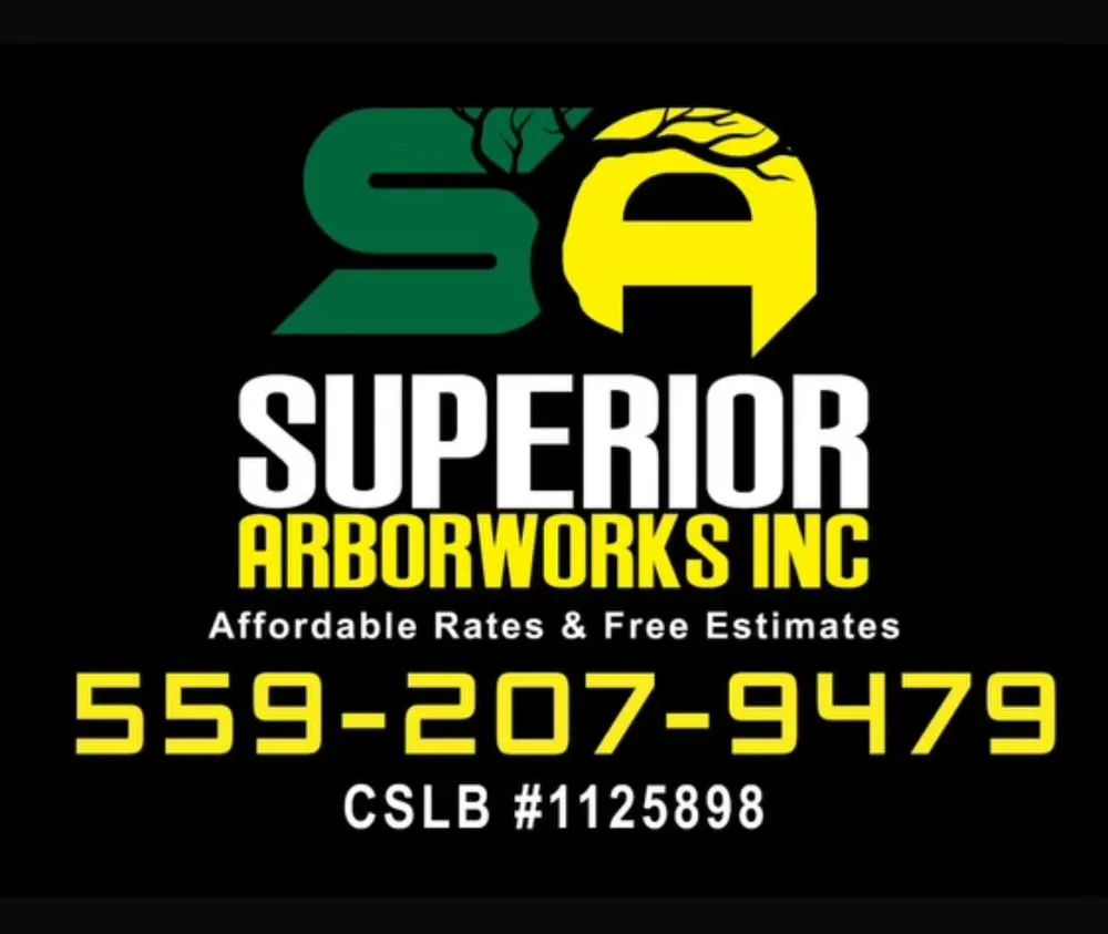 Reliable yard cleanup service in Fresno, CA by Superior ArborWorks