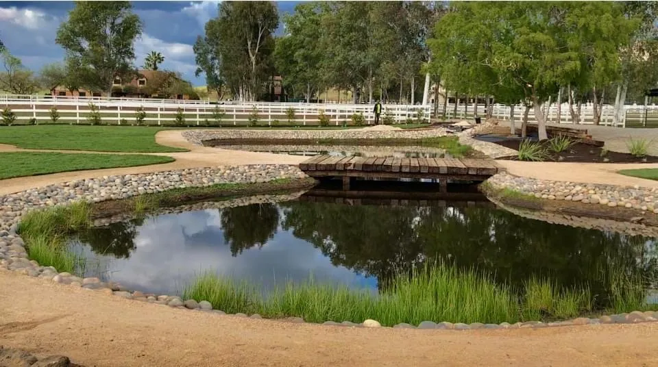 Reliable residential landscaping in Fresno, CA by Superior ArborWorks