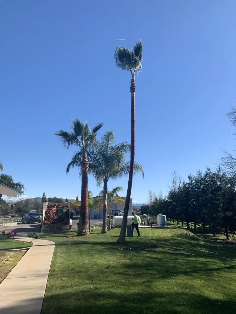 Professional landscaping services in Fresno, CA - Superior ArborWorks