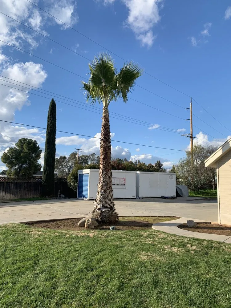 Local outdoor landscaping near you in Fresno, CA by Superior ArborWorks