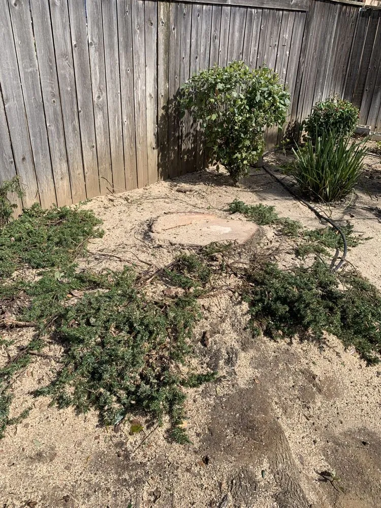 Trusted landscape installation for residential properties in Fresno, CA by Superior ArborWorks