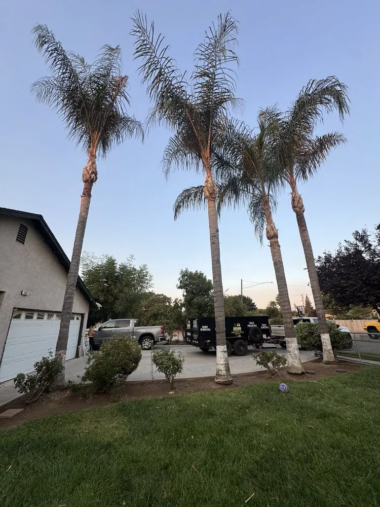 Custom landscape installation in Fresno, CA by Superior ArborWorks