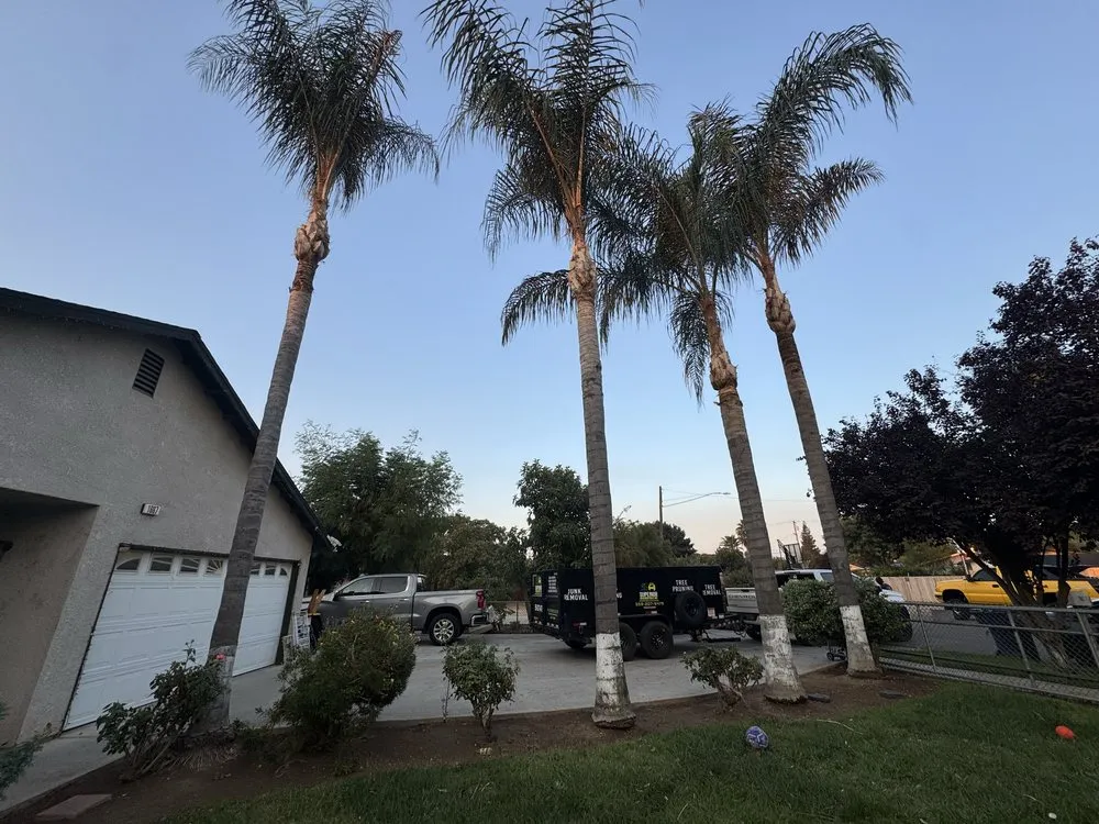 Reliable residential landscaping for homes in Fresno, CA by Superior ArborWorks