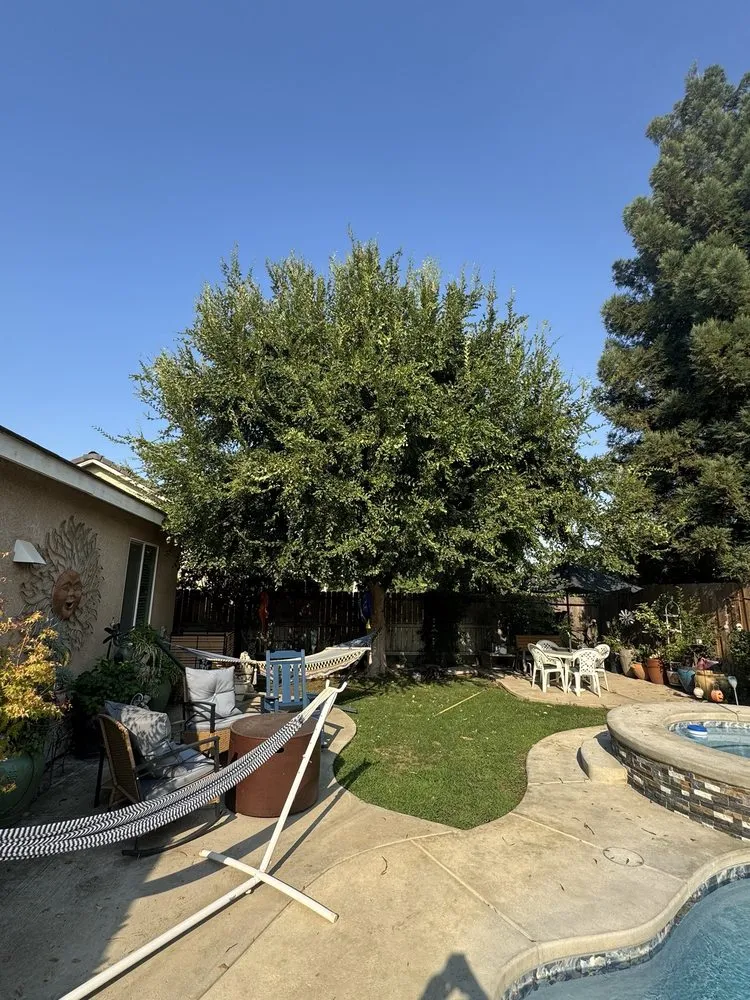Reliable residential landscaping for outdoor upgrades in Fresno, CA by Superior ArborWorks