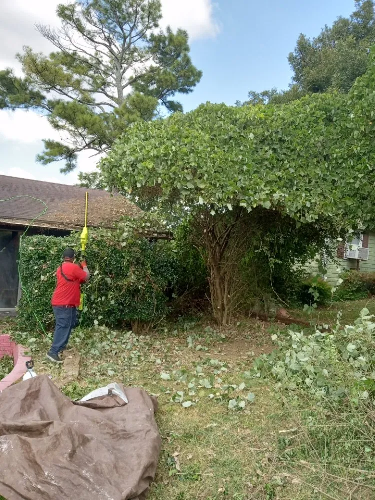 Expert landscape design experts serving Stockbridge, GA - superior city services