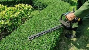 Expert yard maintenance experts serving Stockbridge, GA - superior city services
