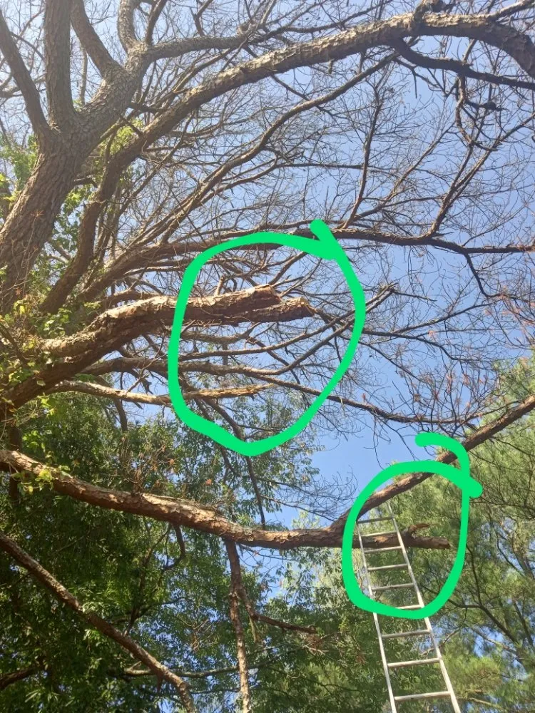 Professional landscaping services experts serving Stockbridge, GA - superior city services