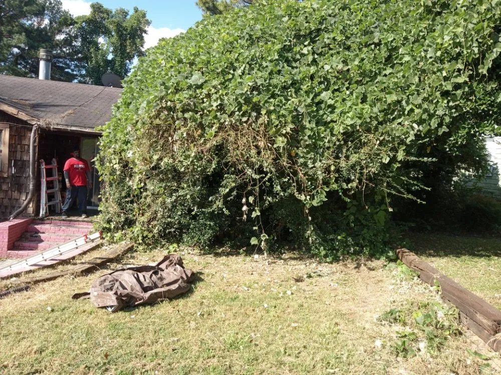 Top-rated lawn mowing service near you across Stockbridge, GA - superior city services