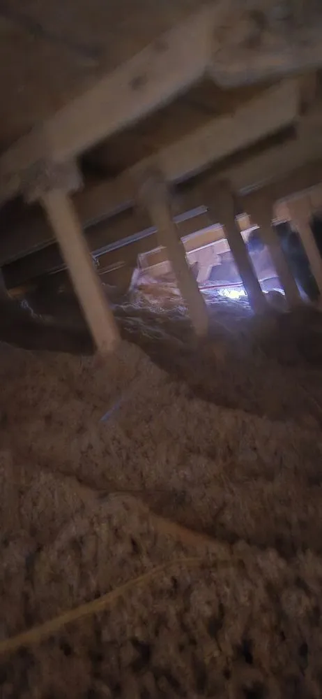 Expert outdoor landscaping for residential properties in Clarksville, AR by Superior