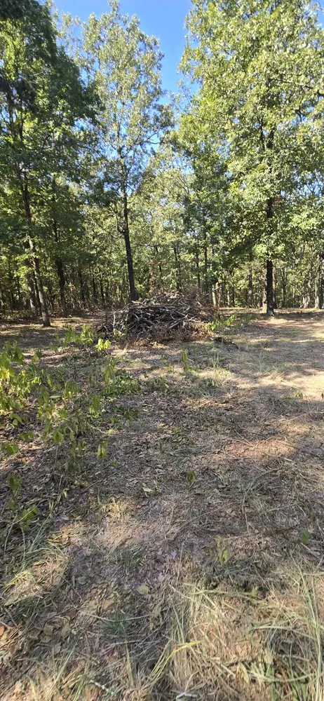 Top-rated yard maintenance experts serving Clarksville, AR - Superior