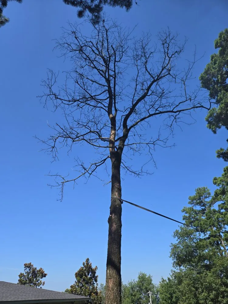 Custom yard maintenance experts serving Clarksville, AR - Superior