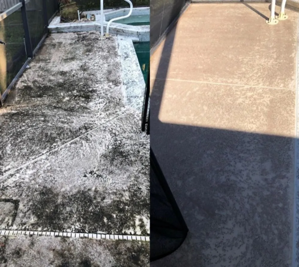 Affordable yard cleanup service in Cypress Gardens, FL - Superior Clean Pressure Washing