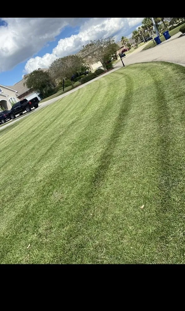 Local yard cleanup service in Slidell, LA - Superior Complete Lawn Care