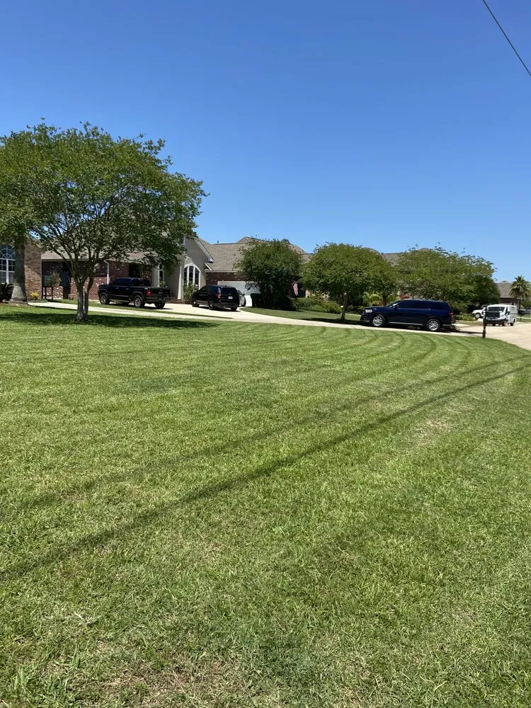 Expert landscape installation for outdoor upgrades across Slidell, LA - Superior Complete Lawn Care