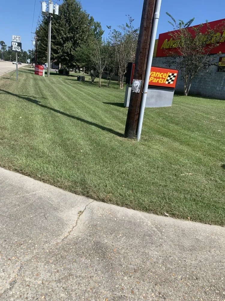 Top-rated yard cleanup service near you across Slidell, LA - Superior Complete Lawn Care