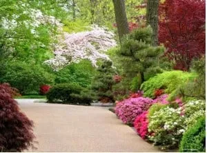 Reliable landscape design near you across North Bellmore, NY - Superior Contracting