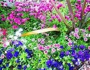 Local landscape design for outdoor upgrades in North Bellmore, NY by Superior Contracting