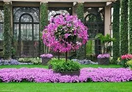 Custom yard cleanup service for beautiful yards in North Bellmore, NY by Superior Contracting