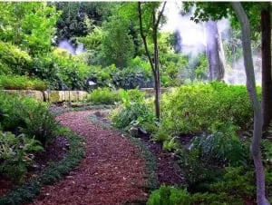 Local landscaping services in North Bellmore, NY by Superior Contracting