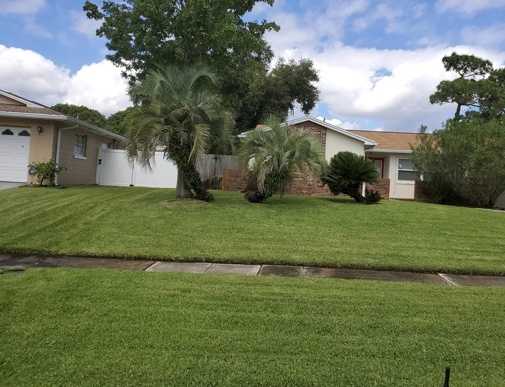 Professional landscape installation for outdoor upgrades across DeLand, FL - Superior Customs