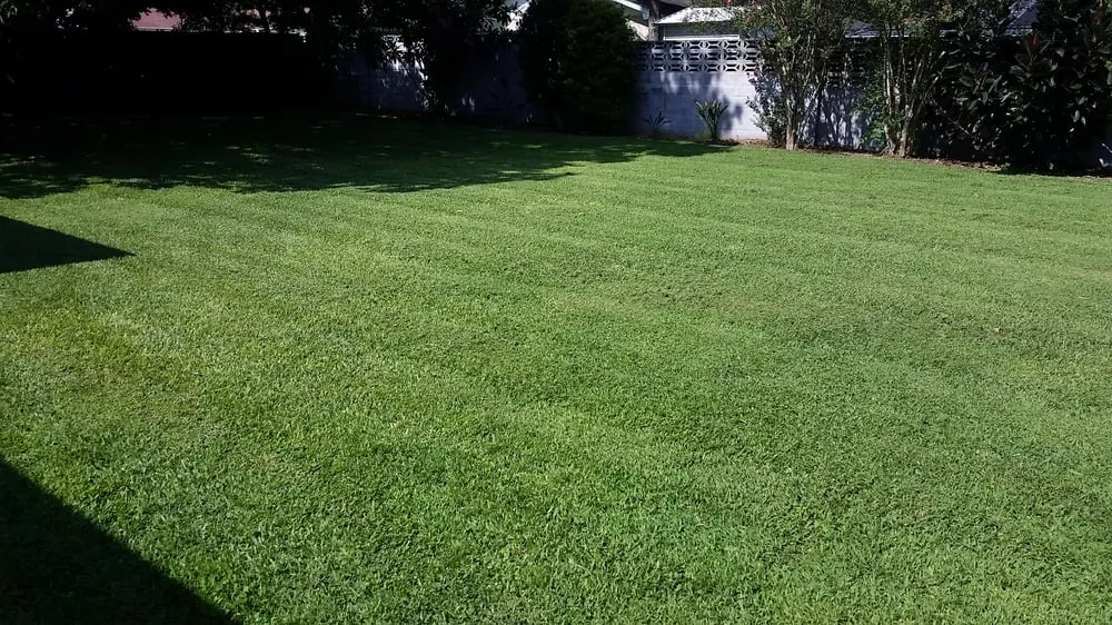 Custom outdoor landscaping in Orlando, FL - Superior Cut Lawn and Landscaping