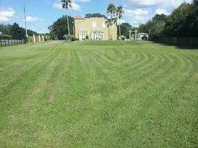 Professional lawn mowing service in Orlando, FL - Superior Cut Lawn and Landscaping