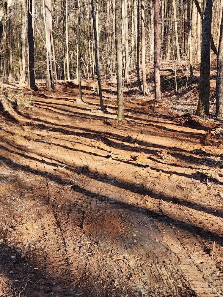 Professional landscape installation in Douglasville, GA by Superior cut lawn service