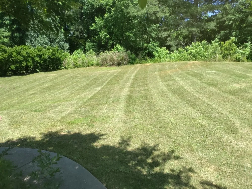 Custom yard maintenance in Douglasville, GA - Superior cut lawn service
