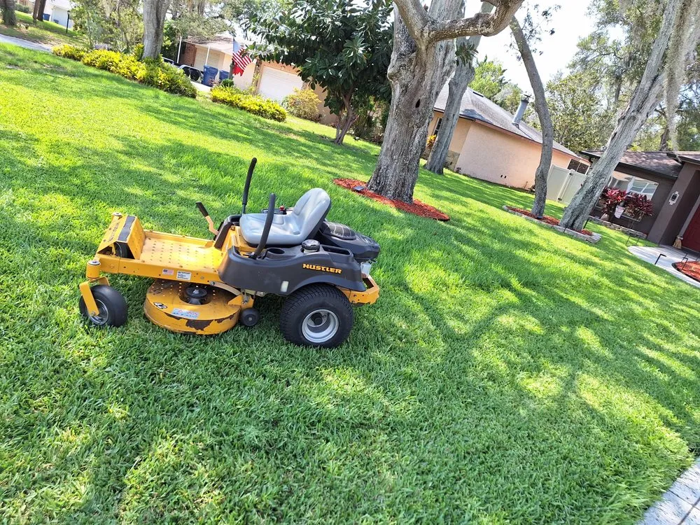 Professional landscaping services for beautiful yards in Holiday, FL by Superior Exterior