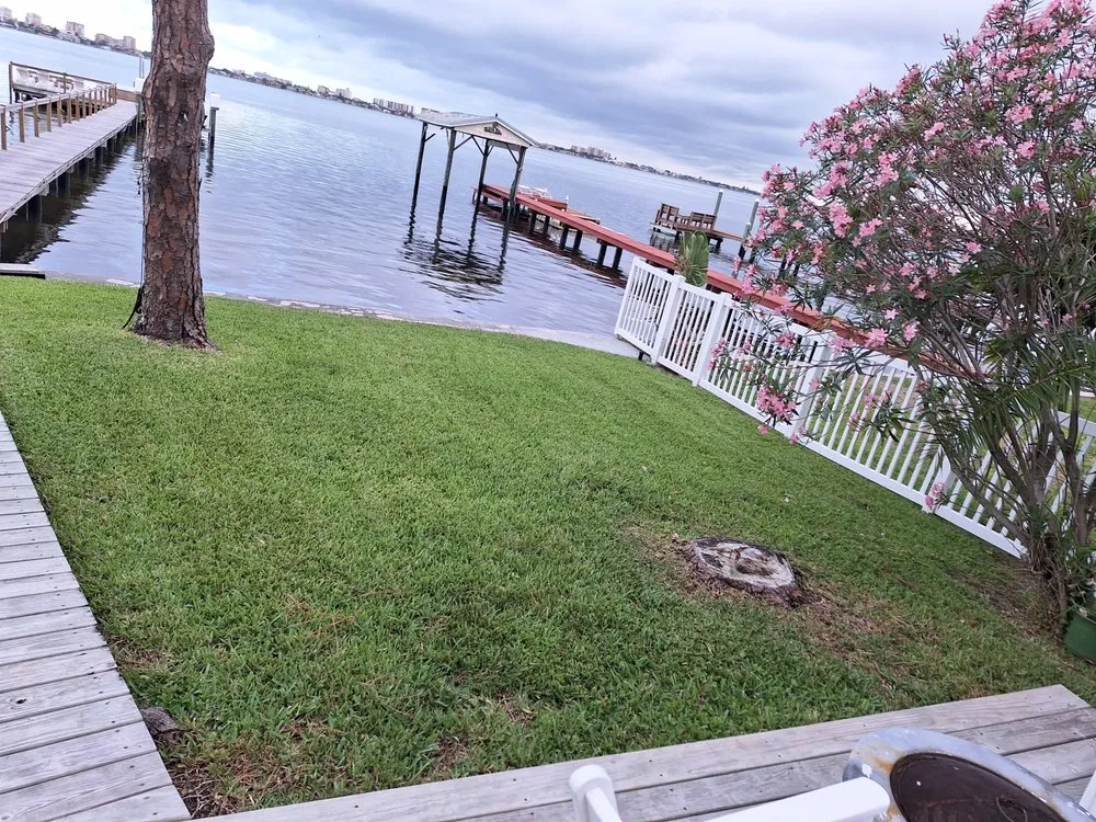 Reliable landscaping services in Holiday, FL by Superior Exterior