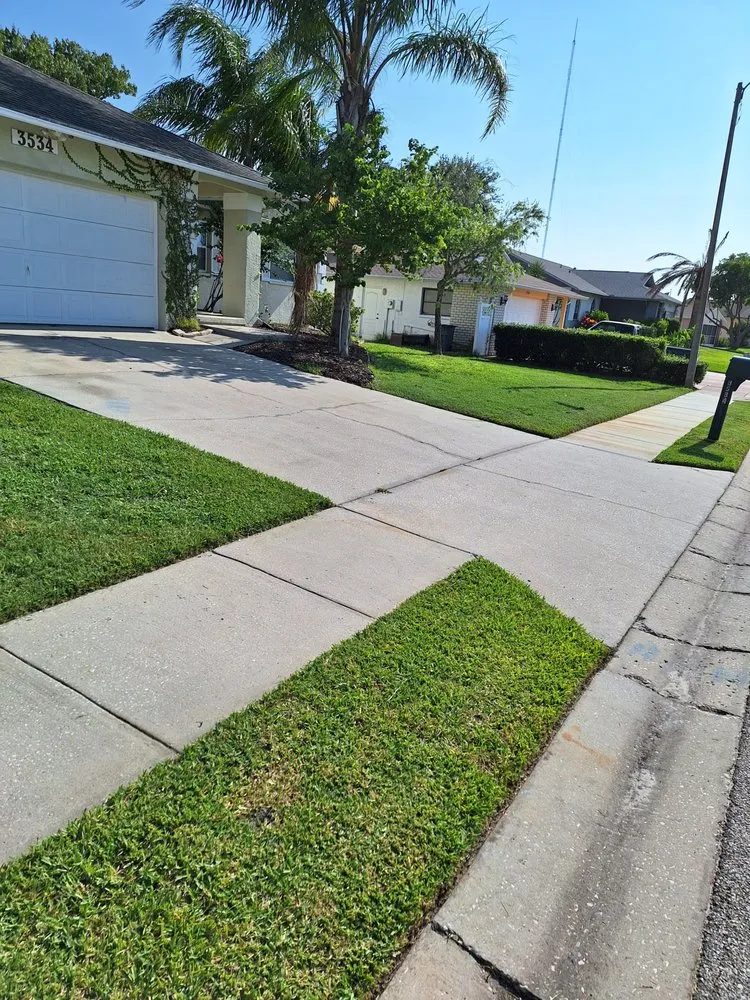 Top-rated landscape design in Holiday, FL by Superior Exterior