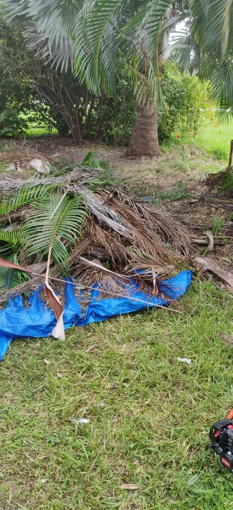 Affordable landscaping services in Palm Bay, FL by Superior Exterior Landscaping