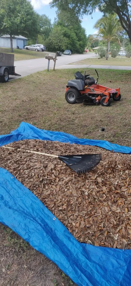 Expert landscape installation in Palm Bay, FL - Superior Exterior Landscaping