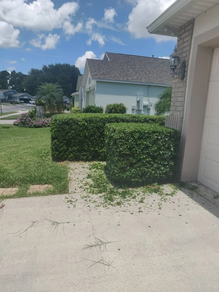 Trusted landscape installation for residential properties across Palm Bay, FL - Superior Exterior Landscaping