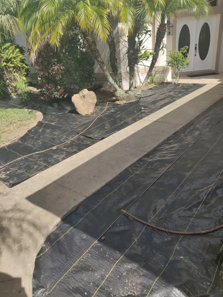 Local yard maintenance in Palm Bay, FL by Superior Exterior Landscaping
