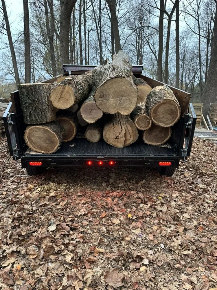 Expert landscaping services in Colora, MD by Superior Firewood